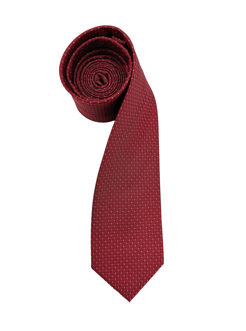 Tribeca Red Dotted Tie