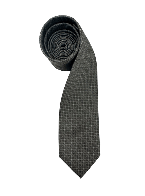 Tribeca Grey Dotted Tie
