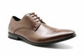 Pisa Brown Vegan Derby Shoe