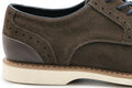 David Brown Suede Lace Up Shoe